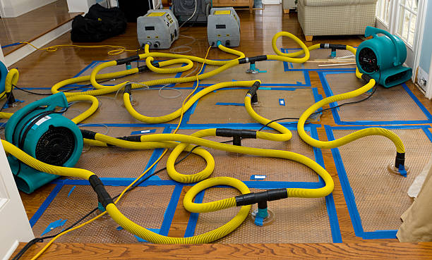 Professional Burst Pipe Water Damage technician working in Buffalo, OK